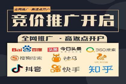 竞价排名案例：跨平台推广效果分析